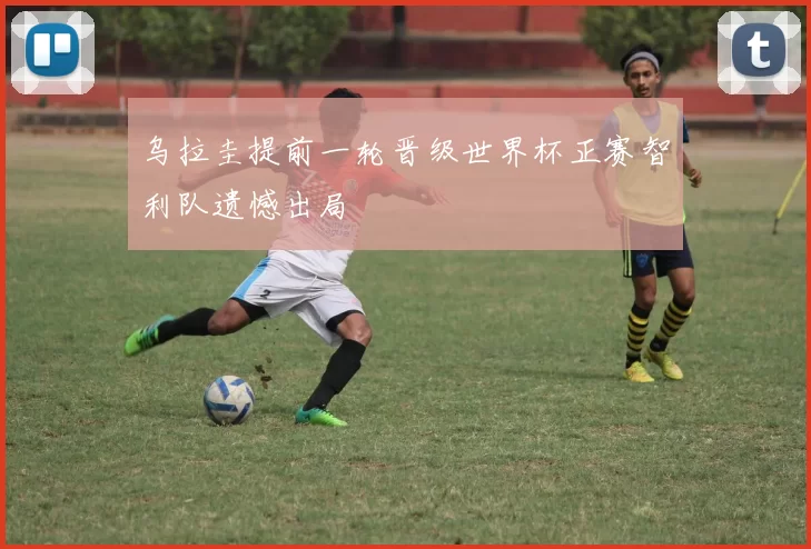 乌拉圭提前一轮晋级世界杯正赛智利队遗憾出局