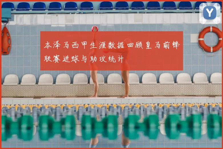 本泽马西甲生涯数据回顾皇马前锋联赛进球与助攻统计