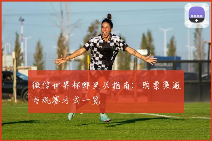 微信世界杯哪里买指南：购票渠道与观赛方式一览