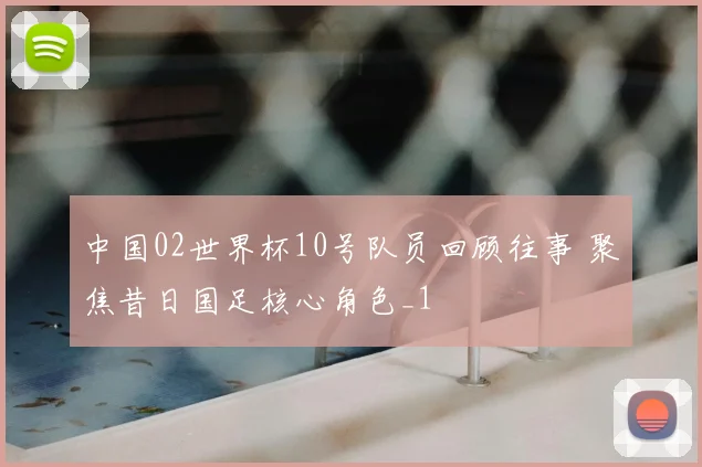 中国02世界杯10号队员回顾往事 聚焦昔日国足核心角色_1