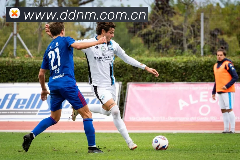 App Interface Preview