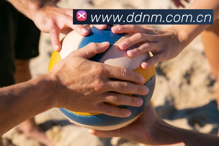 星空官网免费入口APP 封面图